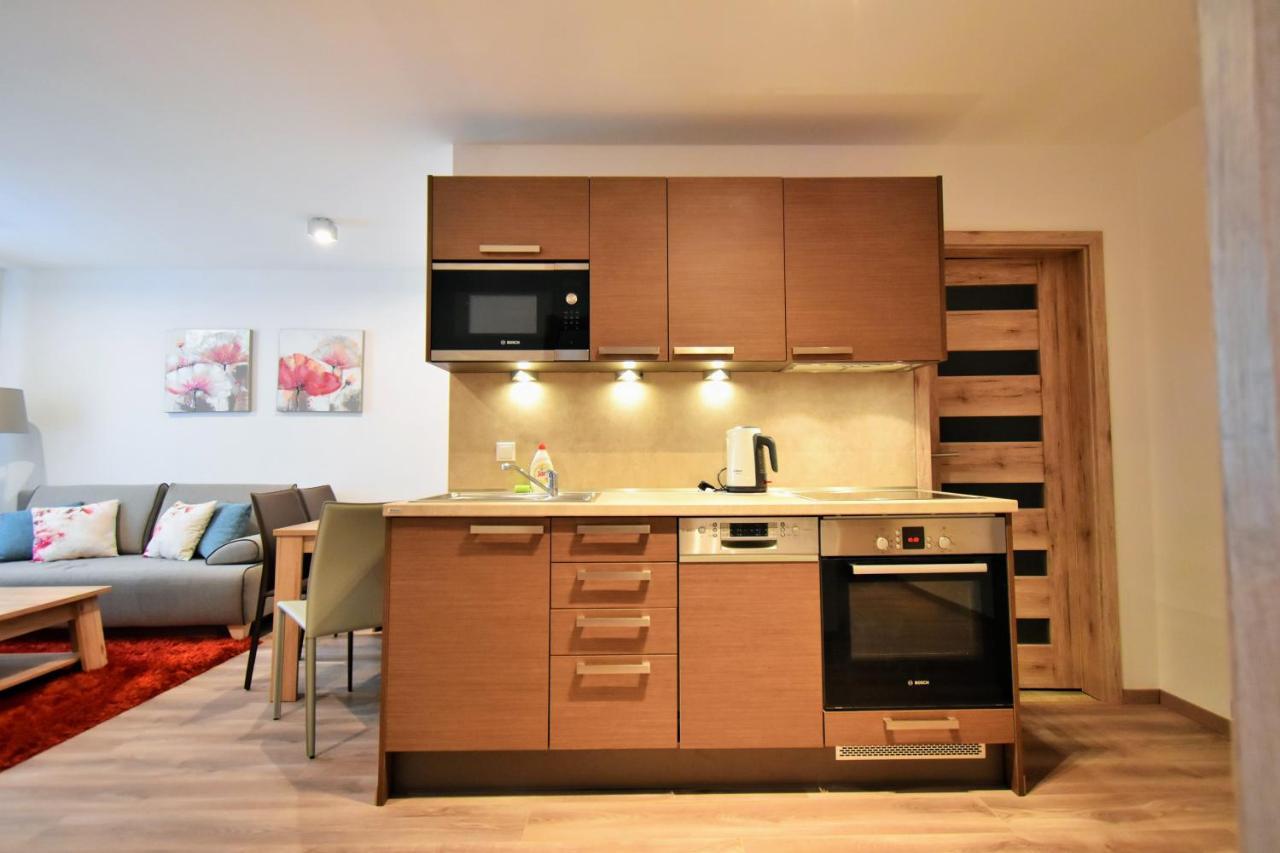 Apartment Dalibor II With Private Entrance And Private Garage Spindleruv Mlyn Exterior photo