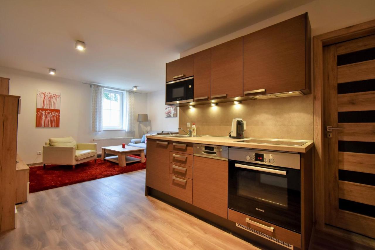 Apartment Dalibor II With Private Entrance And Private Garage Spindleruv Mlyn Exterior photo